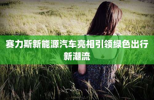 赛力斯新能源汽车亮相引领绿色出行新潮流