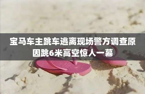 宝马车主跳车逃离现场警方调查原因跳6米高空惊人一幕