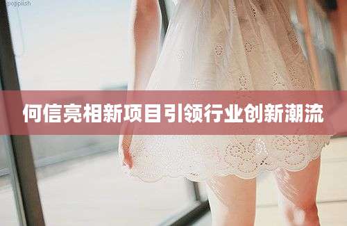 何信亮相新项目引领行业创新潮流