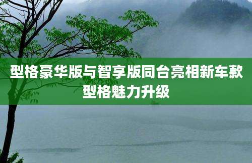 型格豪华版与智享版同台亮相新车款型格魅力升级