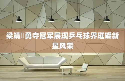 梁靖崑勇夺冠军展现乒乓球界璀璨新星风采