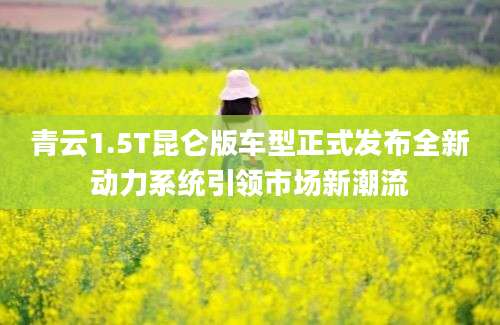 青云1.5T昆仑版车型正式发布全新动力系统引领市场新潮流