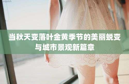 当秋天变落叶金黄季节的美丽蜕变与城市景观新篇章