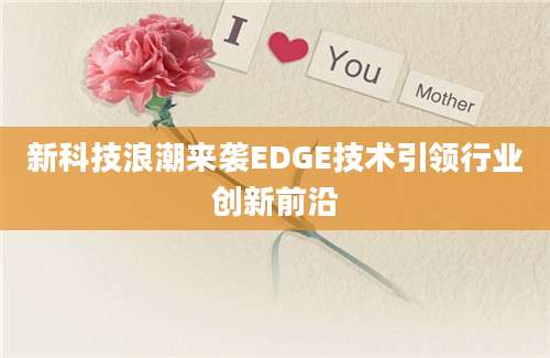 新科技浪潮来袭EDGE技术引领行业创新前沿
