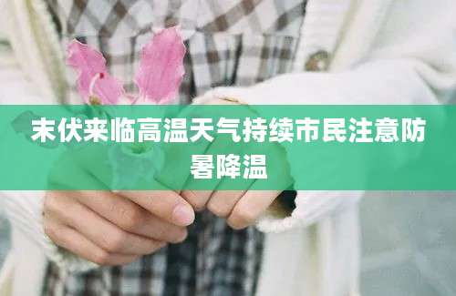 末伏来临高温天气持续市民注意防暑降温