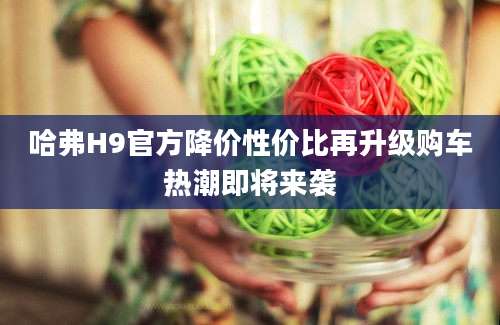哈弗H9官方降价性价比再升级购车热潮即将来袭
