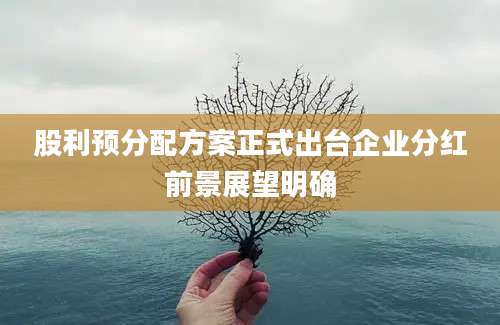 股利预分配方案正式出台企业分红前景展望明确