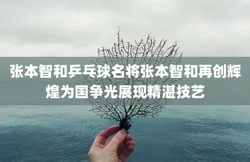 张本智和乒乓球名将张本智和再创辉煌为国争光展现精湛技艺