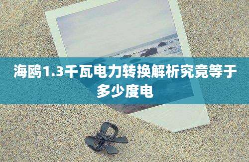 海鸥1.3千瓦电力转换解析究竟等于多少度电