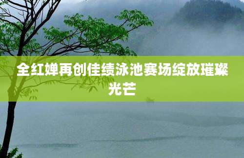 全红婵再创佳绩泳池赛场绽放璀璨光芒