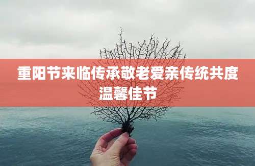 重阳节来临传承敬老爱亲传统共度温馨佳节