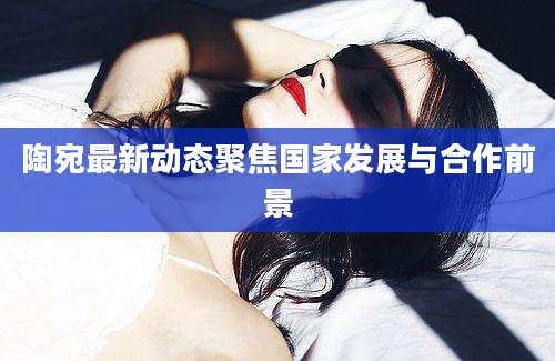 陶宛最新动态聚焦国家发展与合作前景