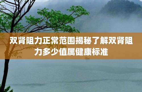 双肾阻力正常范围揭秘了解双肾阻力多少值属健康标准
