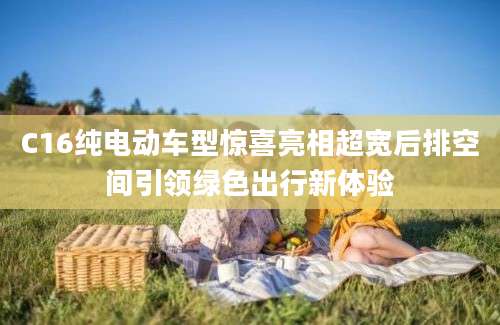 C16纯电动车型惊喜亮相超宽后排空间引领绿色出行新体验