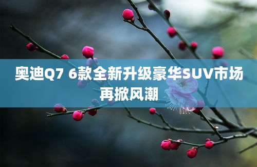 奥迪Q7 6款全新升级豪华SUV市场再掀风潮