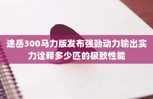 途岳300马力版发布强劲动力输出实力诠释多少匹的极致性能