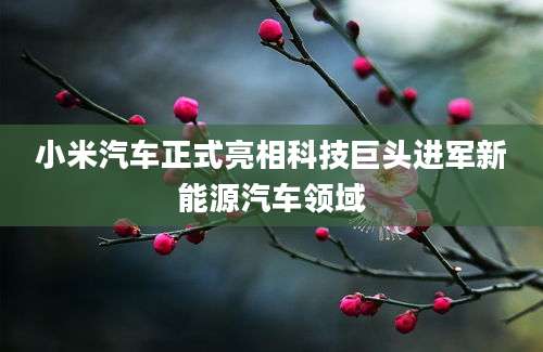 小米汽车正式亮相科技巨头进军新能源汽车领域