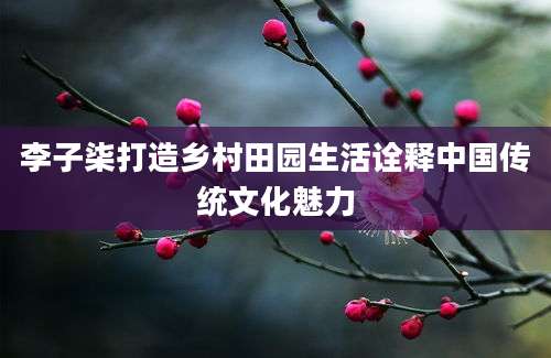 李子柒打造乡村田园生活诠释中国传统文化魅力