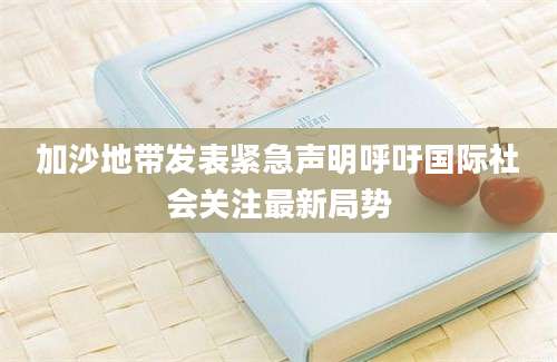 加沙地带发表紧急声明呼吁国际社会关注最新局势