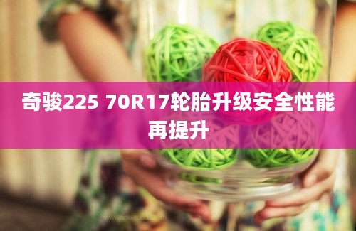 奇骏225 70R17轮胎升级安全性能再提升