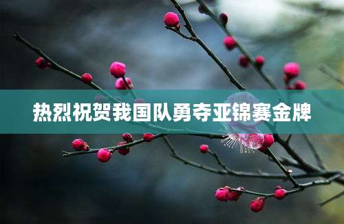 热烈祝贺我国队勇夺亚锦赛金牌