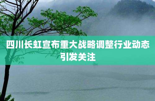 四川长虹宣布重大战略调整行业动态引发关注