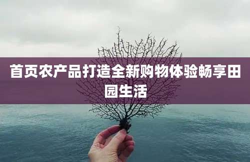 首页农产品打造全新购物体验畅享田园生活