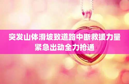 突发山体滑坡致道路中断救援力量紧急出动全力抢通