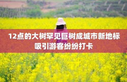 12点的大树罕见巨树成城市新地标吸引游客纷纷打卡