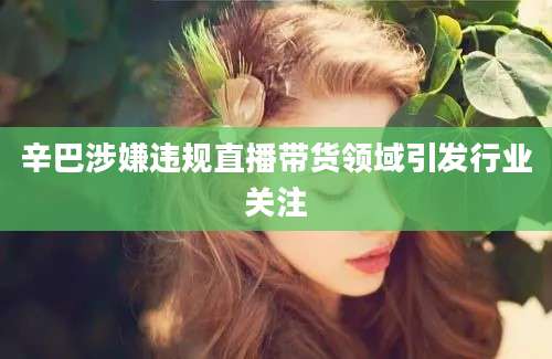 辛巴涉嫌违规直播带货领域引发行业关注