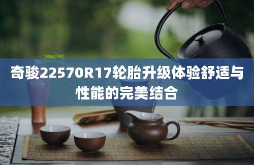奇骏22570R17轮胎升级体验舒适与性能的完美结合