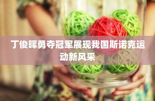 丁俊晖勇夺冠军展现我国斯诺克运动新风采