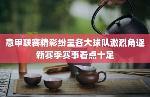 意甲联赛精彩纷呈各大球队激烈角逐新赛季赛事看点十足