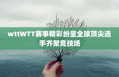 wttWTT赛事精彩纷呈全球顶尖选手齐聚竞技场