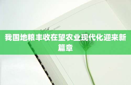 我国地粮丰收在望农业现代化迎来新篇章