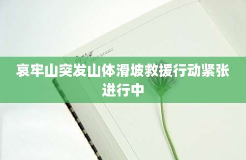 哀牢山突发山体滑坡救援行动紧张进行中