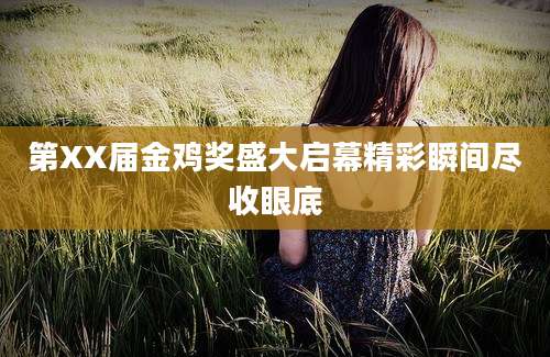 第XX届金鸡奖盛大启幕精彩瞬间尽收眼底