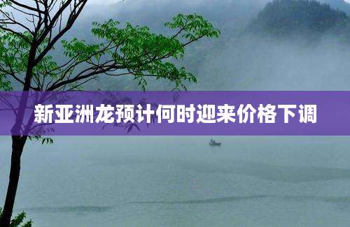 新亚洲龙预计何时迎来价格下调