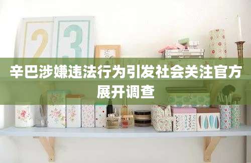 辛巴涉嫌违法行为引发社会关注官方展开调查