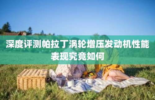 深度评测帕拉丁涡轮增压发动机性能表现究竟如何