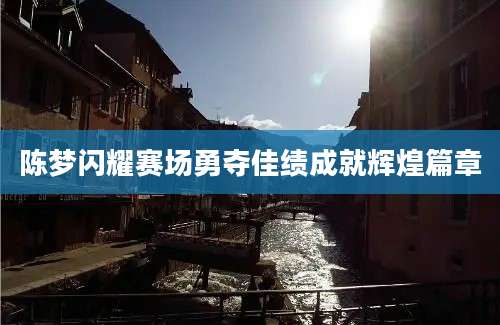 陈梦闪耀赛场勇夺佳绩成就辉煌篇章