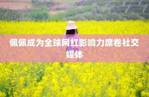 佩佩成为全球网红影响力席卷社交媒体