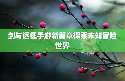 剑与远征手游新篇章探索未知冒险世界