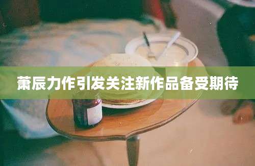 萧辰力作引发关注新作品备受期待