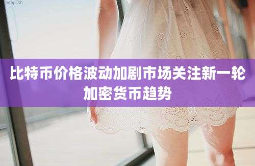 比特币价格波动加剧市场关注新一轮加密货币趋势