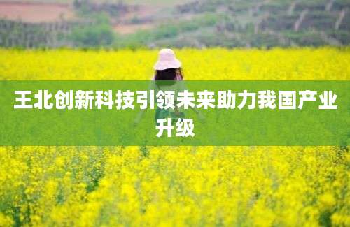 王北创新科技引领未来助力我国产业升级