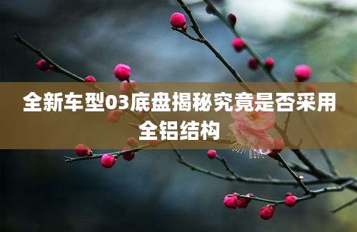 全新车型03底盘揭秘究竟是否采用全铝结构