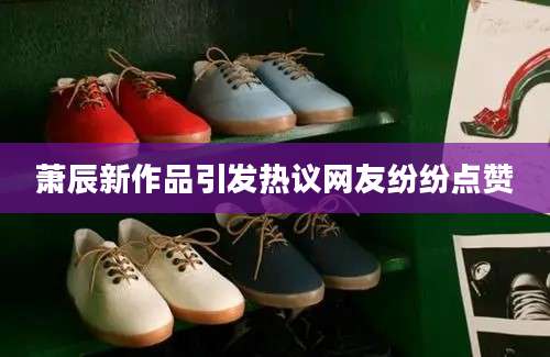 萧辰新作品引发热议网友纷纷点赞