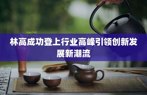 林高成功登上行业高峰引领创新发展新潮流