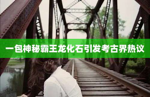 一包神秘霸王龙化石引发考古界热议